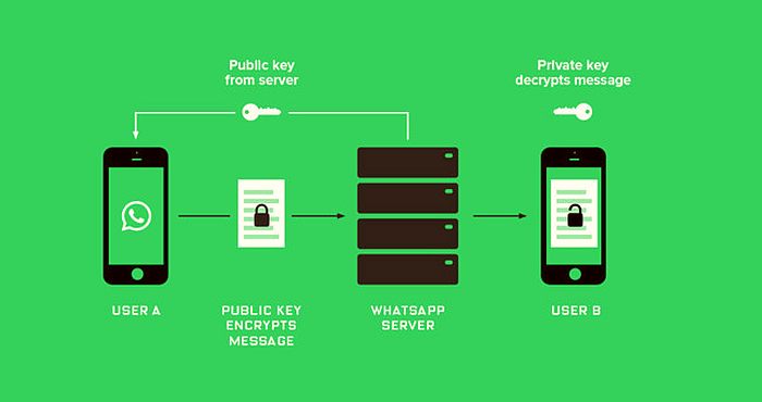 New Unintentionally Dangerous WhatsApp Feature WhatsApp cloud BACKUP 1